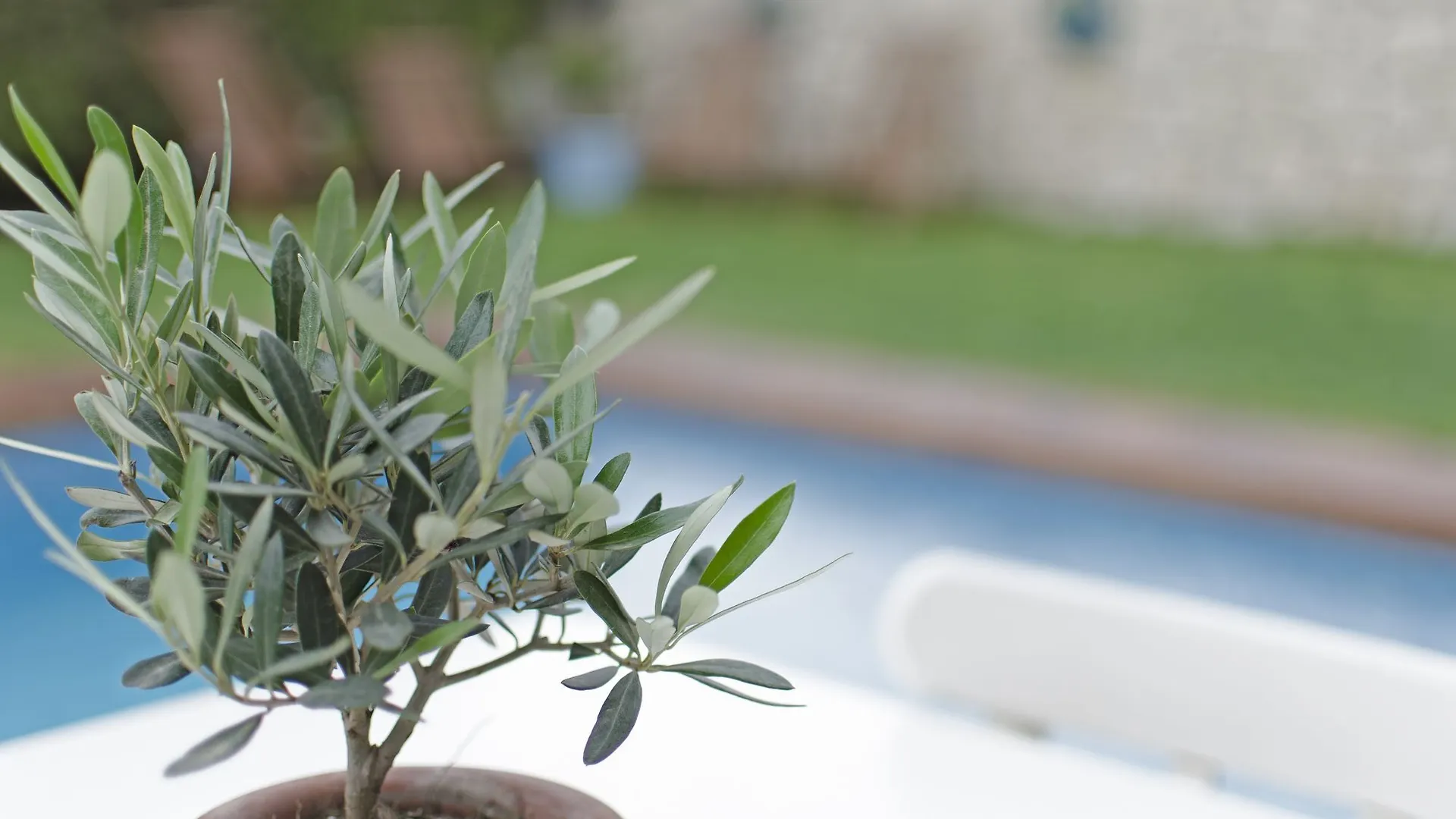 ホテル Alacati Roka Tas Otel